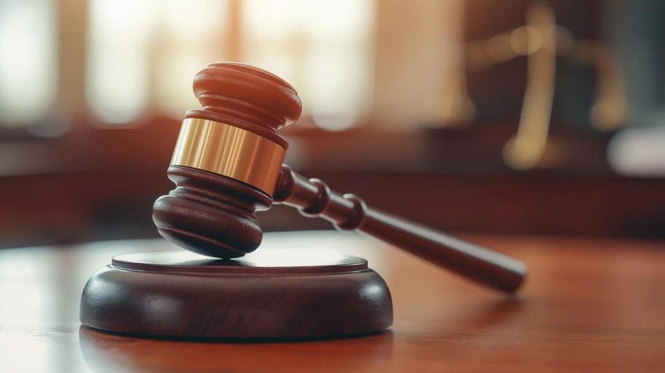 男子非法采挖7株野生兰花被判缓刑