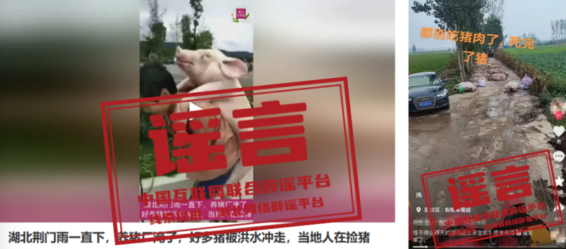 河南南阳暴发猪瘟系谣言